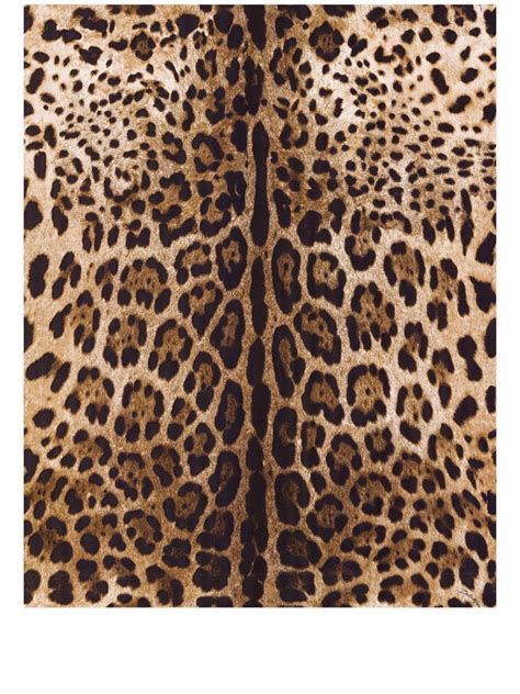 dolce gabbana animal print